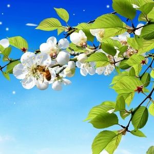 Meet your Posher, Dee